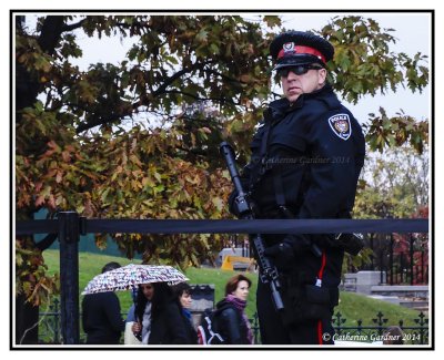 Police Now Guarding Ceremonial Guards