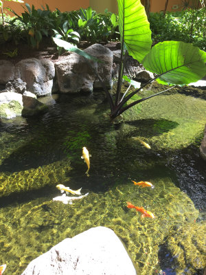 Maui 2016-46.jpg