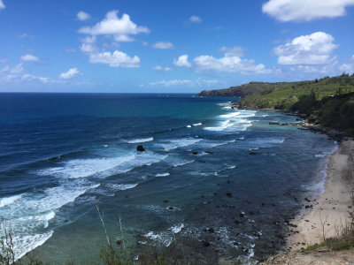 Maui 2016-49.jpg