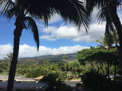 Maui 2016-55.jpg