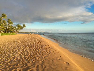 Maui 2016-57.jpg
