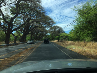 Maui 2016-74.jpg
