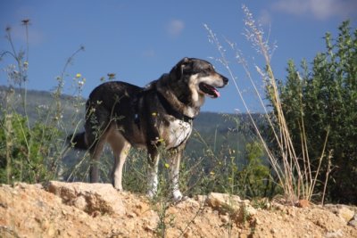 Zita