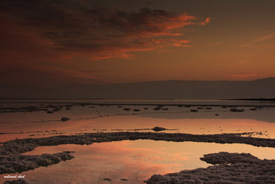 Dead Sea
