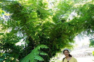 Zona Arqueolgica Yohualichan (Cuetzalan)