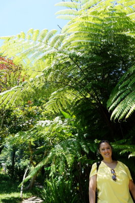 Zona Arqueolgica Yohualichan (Cuetzalan)