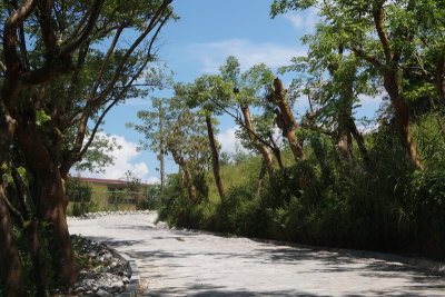 Zona Arqueolgica Yohualichan (Cuetzalan)