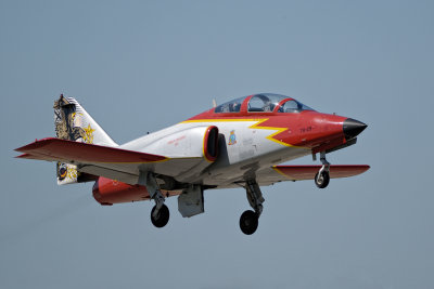 60 ans PAF 2013-095.jpg