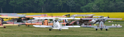 LFA 2013-367.jpg