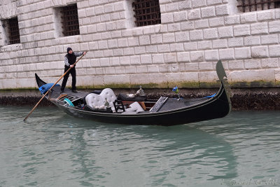Venise 2015-2139.jpg