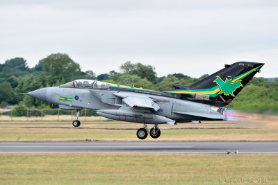 RIAT 2015_2868.jpg
