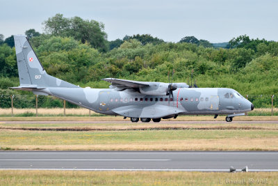 RIAT 2015_2913.jpg
