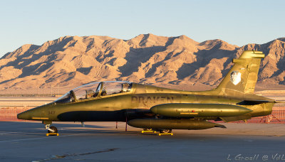 Nellis_3476_openWith.jpg