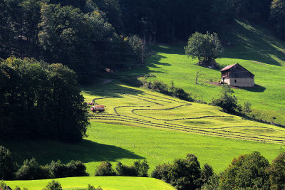 Glarus