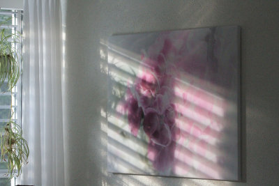 The Evening Sun is shining into my Room...
