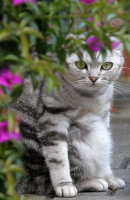 Lucy
