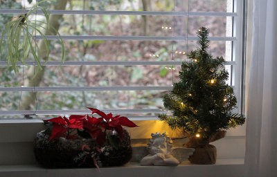 My little Christmas Tree