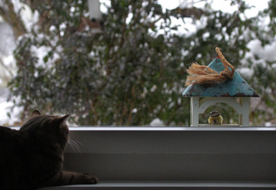 Inside / Outside