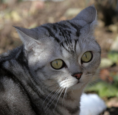 Lucy