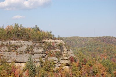 DSC_5980.JPG