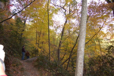 DSC_5987.JPG