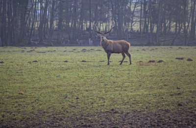 Sortie matinale en Lorraine