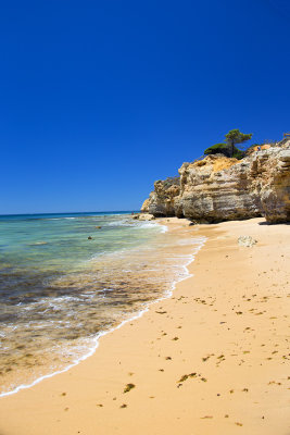 LA plage Tomates