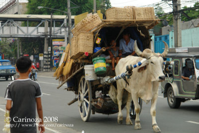 Ox cart with rattan/bamboo-made products (1)