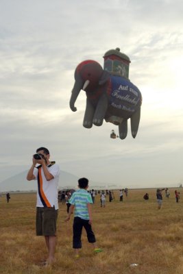 Elephant safari shoot?