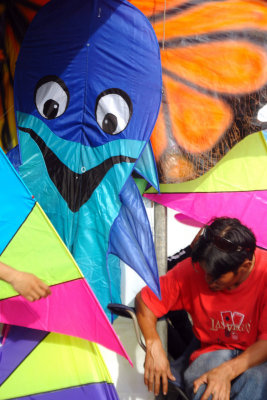 Assorted Kites