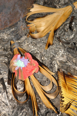 Burning of the palm fronds, 2010