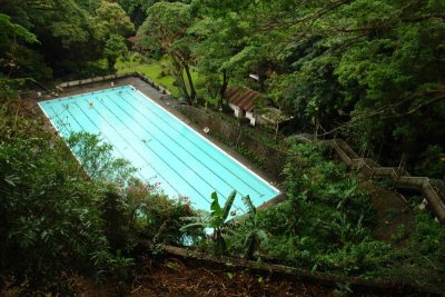 Olympic-sized pool in the middle of the wilderness!