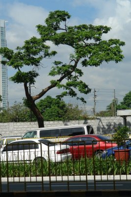 AYALA.2007.8.JPG