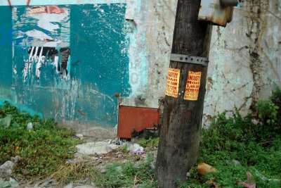 DSC09705-b.JPG
