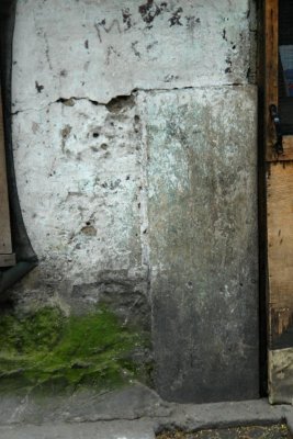 DSC09728-b.JPG