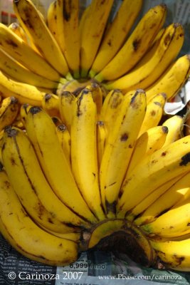 Saging (Bananas)