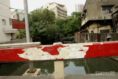 Estero Bridge