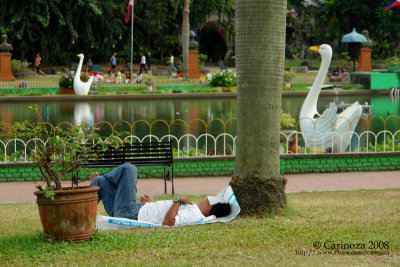 Bliss in the Park