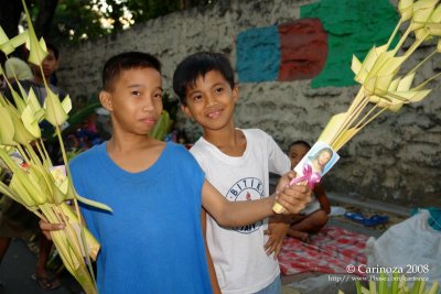 Palm fronds for only P10.00!