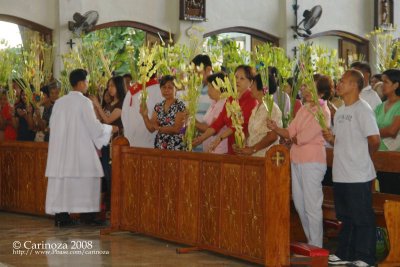 Blessing of the palm fronds