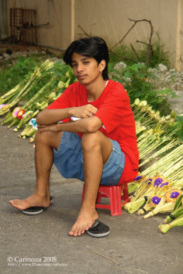 Palm frond vendor