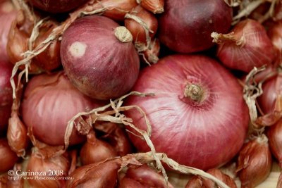 Sibuyas / Onion