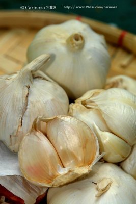 Bawang / Garlic