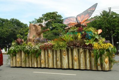 Tribu Alikaraw float - Hilongos, Leyte