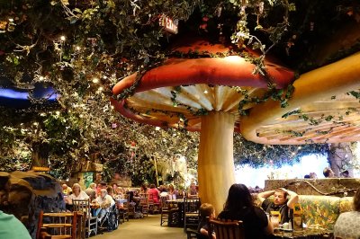 Inside Rainforest Cafe