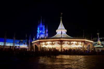 Carousel and castle, night