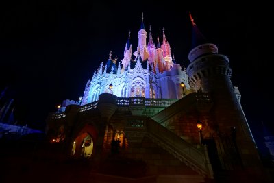 Cinderella's castle looking up from the back, night