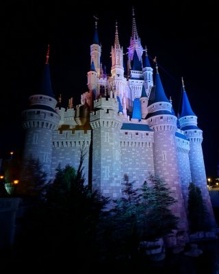 Cinderella's castle side, night