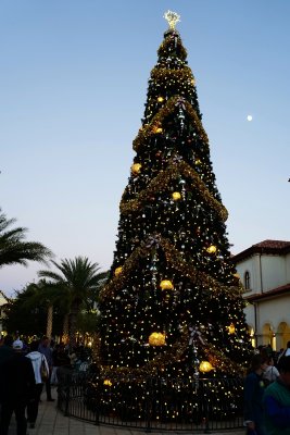 Disney Springs Christmas tree and moon