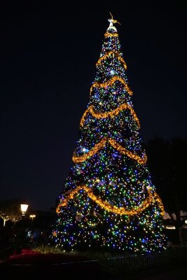 Epcot's Christmas tree